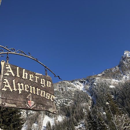 Albergo Alpenrose Ski&Bike Mountain Hotel Gressoney-Saint-Jean Zewnętrze zdjęcie