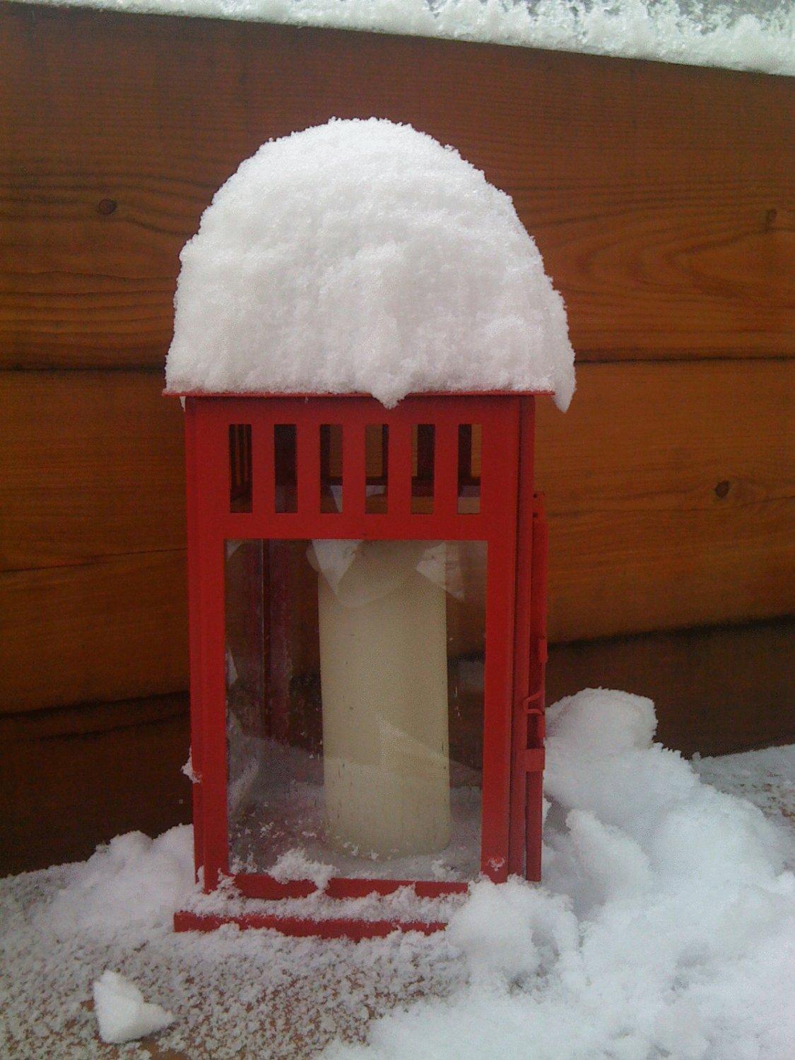 Albergo Alpenrose Ski&Bike Mountain Hotel Gressoney-Saint-Jean Zewnętrze zdjęcie