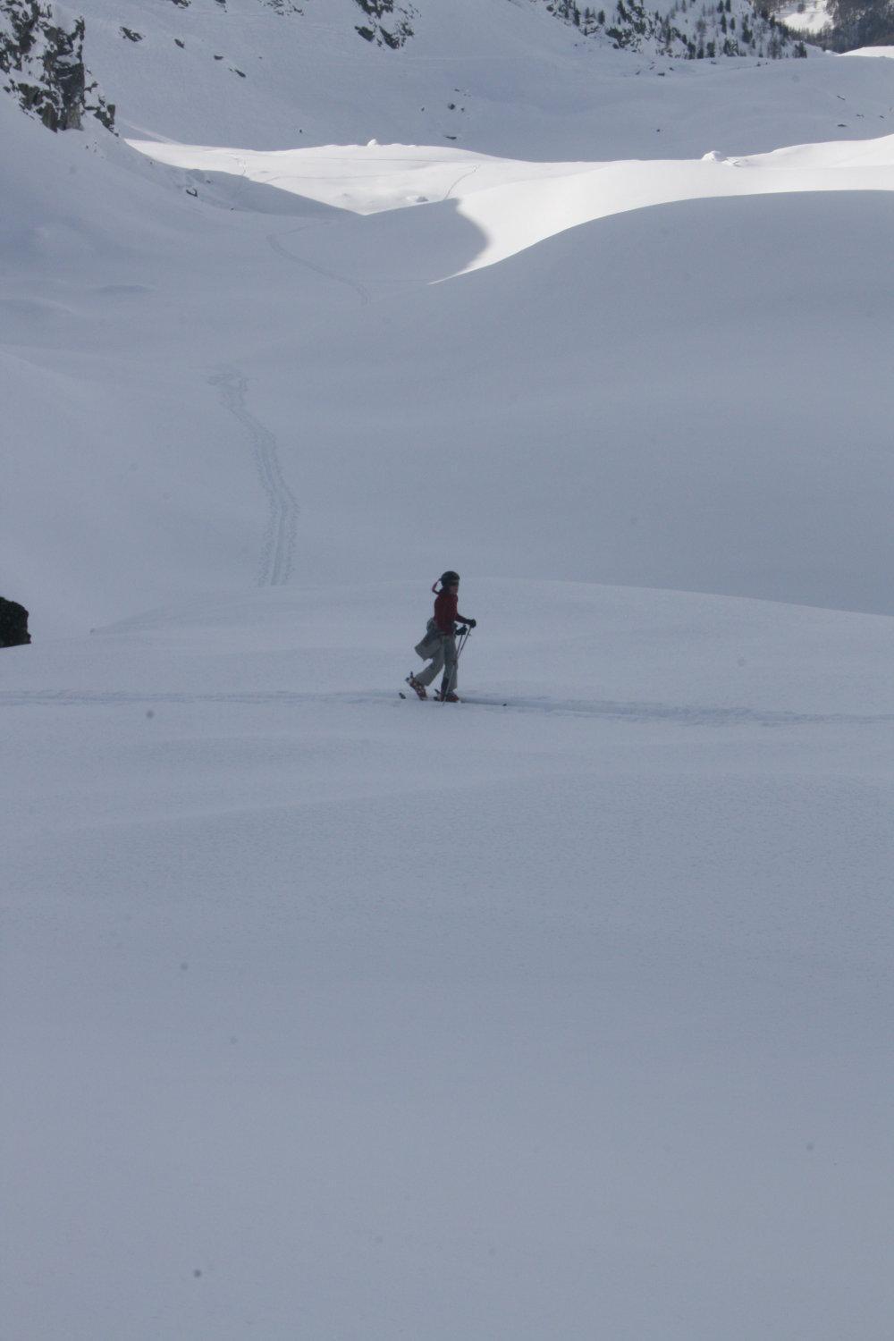 Albergo Alpenrose Ski&Bike Mountain Hotel Gressoney-Saint-Jean Zewnętrze zdjęcie