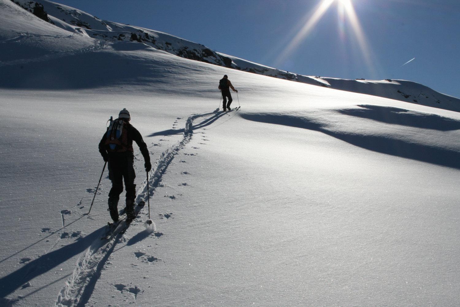 Albergo Alpenrose Ski&Bike Mountain Hotel Gressoney-Saint-Jean Zewnętrze zdjęcie