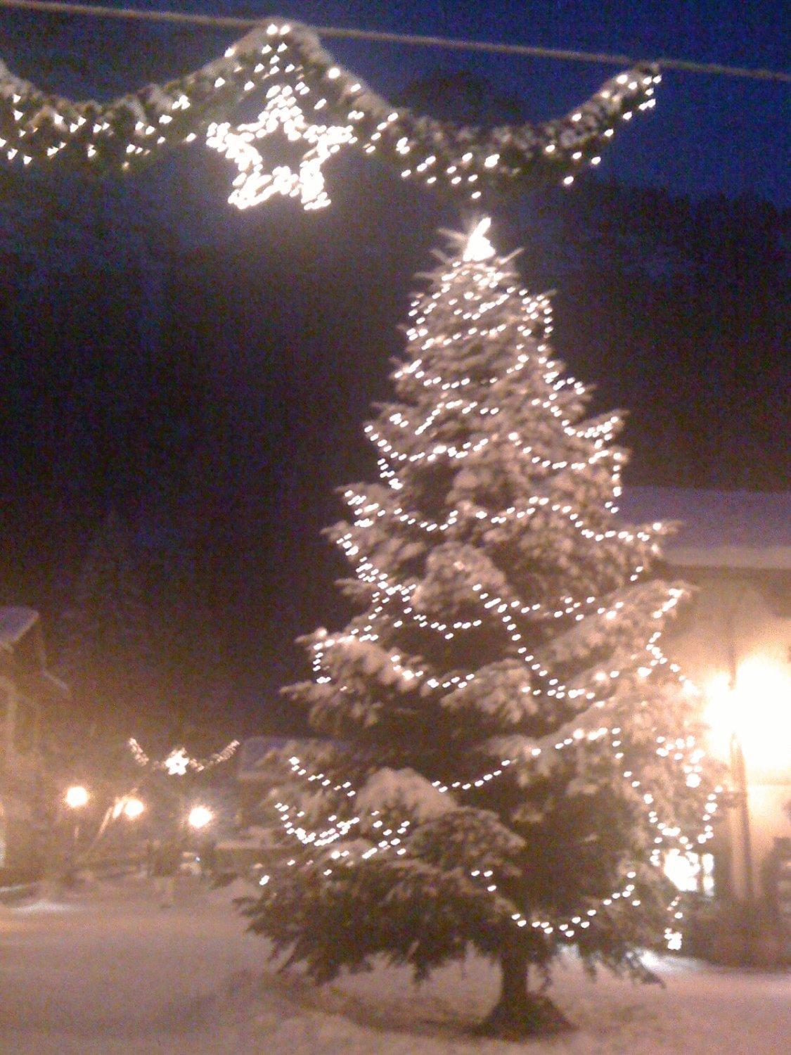 Albergo Alpenrose Ski&Bike Mountain Hotel Gressoney-Saint-Jean Zewnętrze zdjęcie