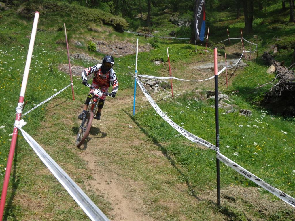 Albergo Alpenrose Ski&Bike Mountain Hotel Gressoney-Saint-Jean Zewnętrze zdjęcie