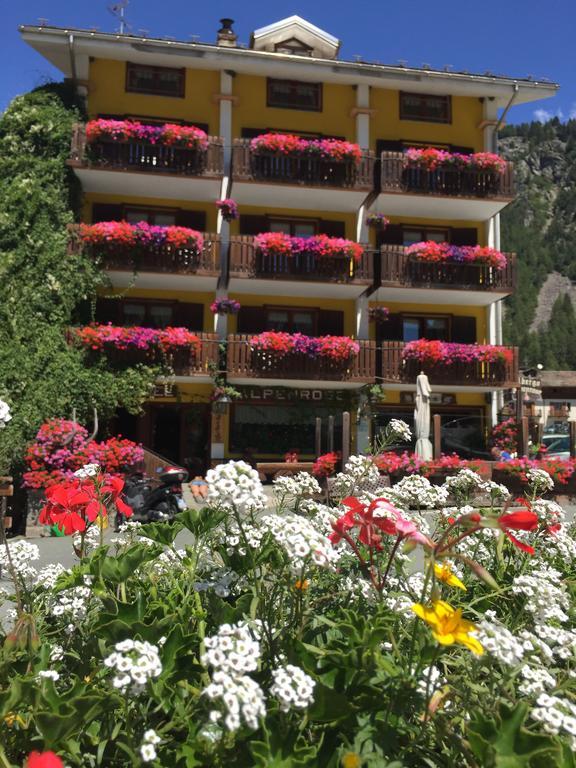 Albergo Alpenrose Ski&Bike Mountain Hotel Gressoney-Saint-Jean Zewnętrze zdjęcie