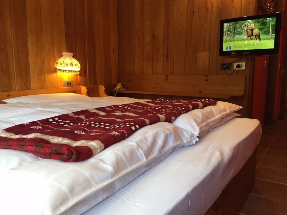 Albergo Alpenrose Ski&Bike Mountain Hotel Gressoney-Saint-Jean Zewnętrze zdjęcie
