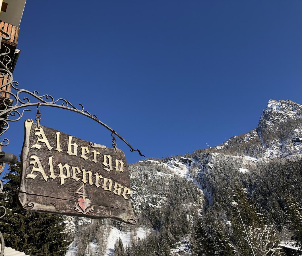 Albergo Alpenrose Ski&Bike Mountain Hotel Gressoney-Saint-Jean Zewnętrze zdjęcie