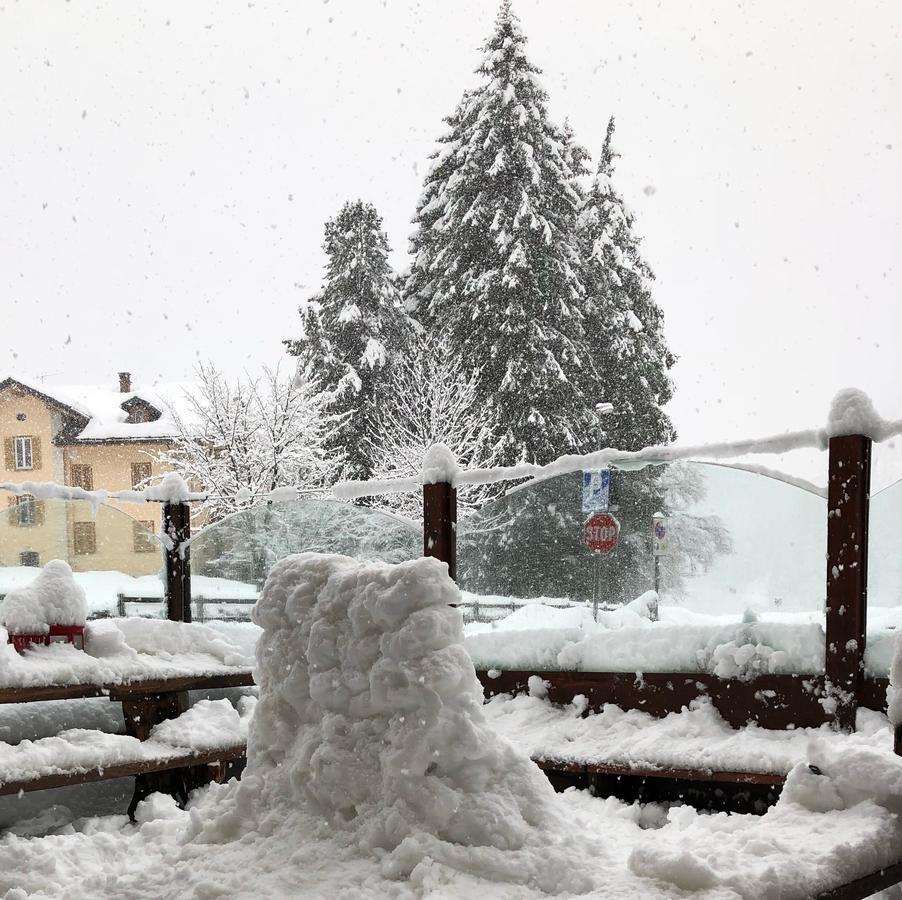 Albergo Alpenrose Ski&Bike Mountain Hotel Gressoney-Saint-Jean Zewnętrze zdjęcie