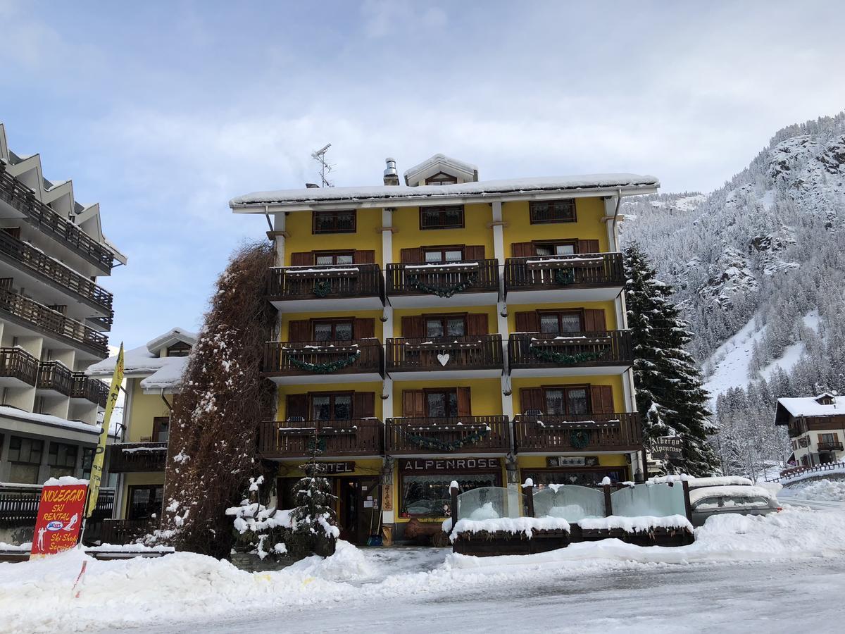 Albergo Alpenrose Ski&Bike Mountain Hotel Gressoney-Saint-Jean Zewnętrze zdjęcie