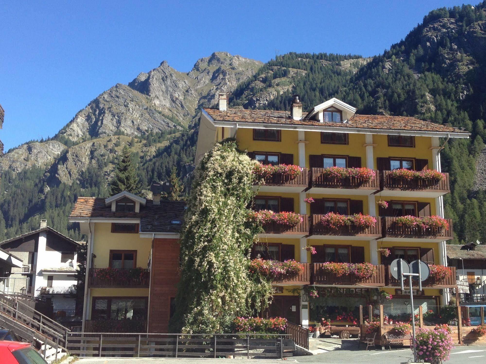 Albergo Alpenrose Ski&Bike Mountain Hotel Gressoney-Saint-Jean Zewnętrze zdjęcie