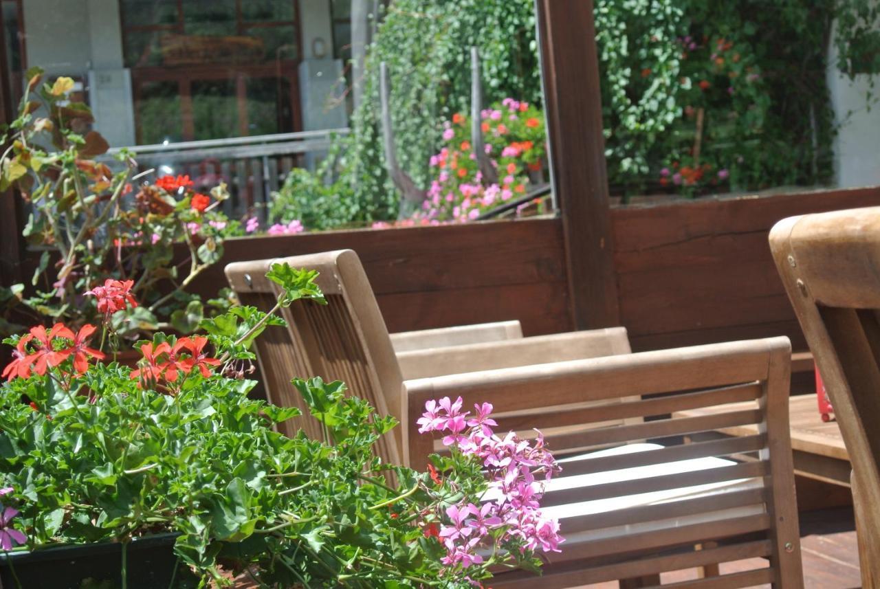 Albergo Alpenrose Ski&Bike Mountain Hotel Gressoney-Saint-Jean Zewnętrze zdjęcie