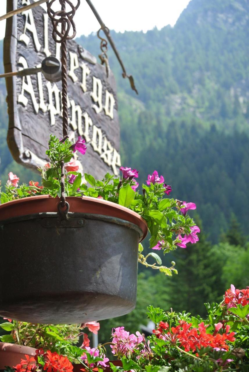 Albergo Alpenrose Ski&Bike Mountain Hotel Gressoney-Saint-Jean Zewnętrze zdjęcie