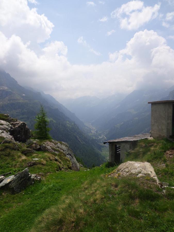 Albergo Alpenrose Ski&Bike Mountain Hotel Gressoney-Saint-Jean Zewnętrze zdjęcie